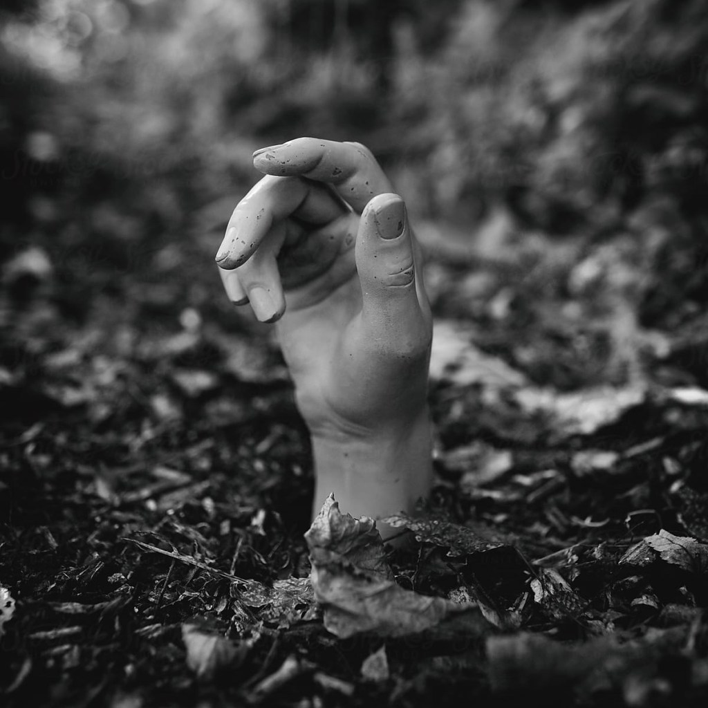 I’ve Returned From the&nbsp;Grave.